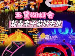 -淄博花灯齐彩城