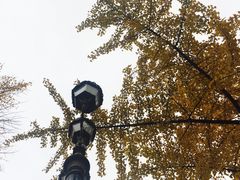 -西南民族大学南区(双流校区)