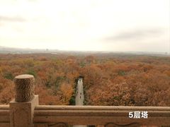 -灵谷景区