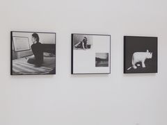 -时代美术馆-成都馆