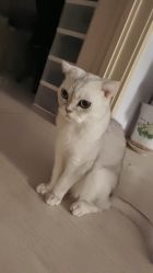 -HEYAN荷妍专业脱毛连锁机构