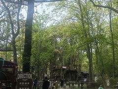 -WeLope紫金山探险公园