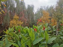 -西安汉城湖景区