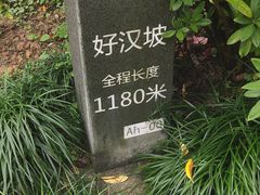 -梧桐山风景名胜区