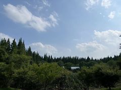 -东平国家森林公园