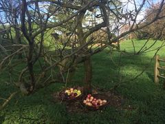 -怀托摩萤火虫洞