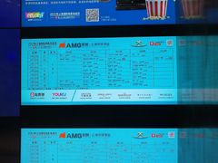 -AMG海上明珠影城(上海环球港RealDCinema店)