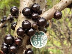 -福建鲤鱼洲酒店