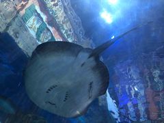 -华夏文旅海洋公园