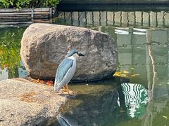 -长阳创谷