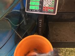 -粗粮人家·东北菜(洋桥店)