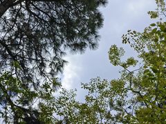 -昭山风景名胜区