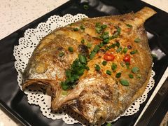 -九府羊·鲜羊火锅·烤串(新华路店)