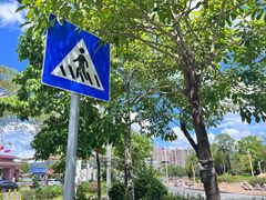 -分塔山省级森林公园
