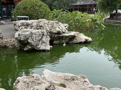 -宣武艺园
