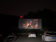 -枫花园汽车电影院(朝阳公园店)