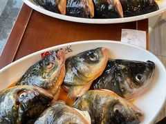 -忘情水鱼头·鲜鱼火锅(滨江中路店)
