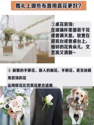 -Sunny喜铺婚礼策划(东部店)