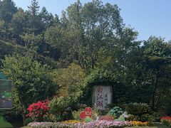 -广州白江湖森林公园