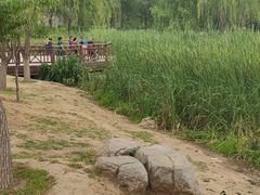 -舍利塔滩地公园-无垢净光舍利塔