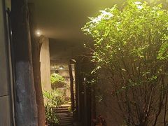 -森SPA·泰式按摩·精油Massage(宝安中心店)