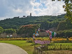 -苏州上方山国家森林公园