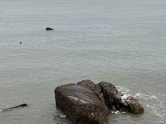 -黄金海岸环岛路