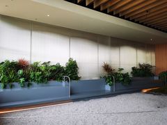 大堂-Seesaw Coffee(朝阳大悦城店)