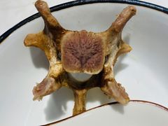 -珅小馆羊蝎子火锅(行署国际广场店)