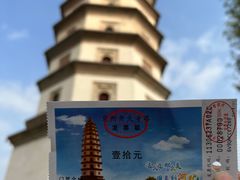 -开元寺塔