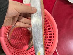 -胜海大排档·海鲜·黄鳝饭(十年老店)