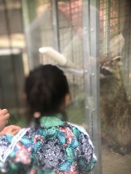 -萌宠亲子动物乐园(槐房万达店)