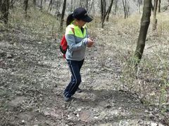 -陕西省红河谷森林公园