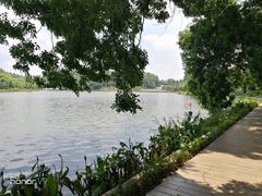 -南国桃园旅游度假区