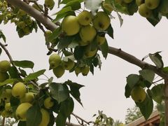 -敦煌莫高窟数字展示中心