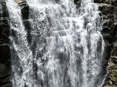 -海南热带雨林国家公园吊罗山景区