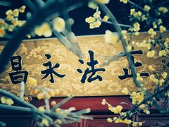 -洛阳白马寺
