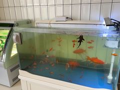 -泽西岛·影院沐足SPA(西大街店)