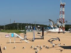 -海驴岛(荣成市)