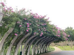 -眉山湿地公园(东坡区)