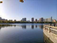 -莲花池公园
