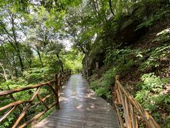 -燕子河大峡谷天坑仙境