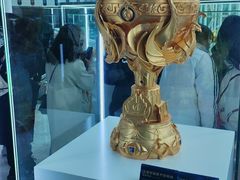 -深圳市宝安体育中心体育场