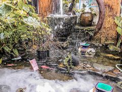 -园林美食城·本土农家菜(杨和镇店)