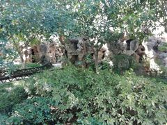 景点-朱家角课植园