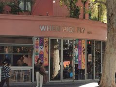 -WHEN PIGS FLY当猪飞