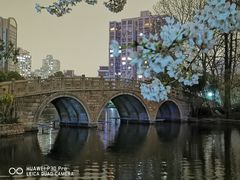 -鲁迅公园-垂钓中心