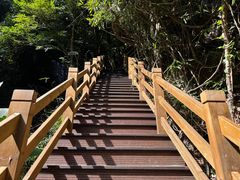 -海南霸王岭国家森林公园