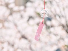 -新天地活力PARK