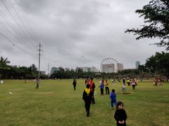 -万绿园